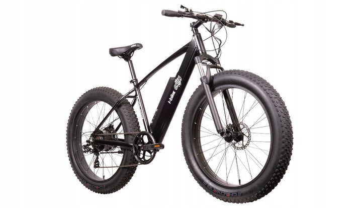 Denver I-BIKE SNOW Fat Bike