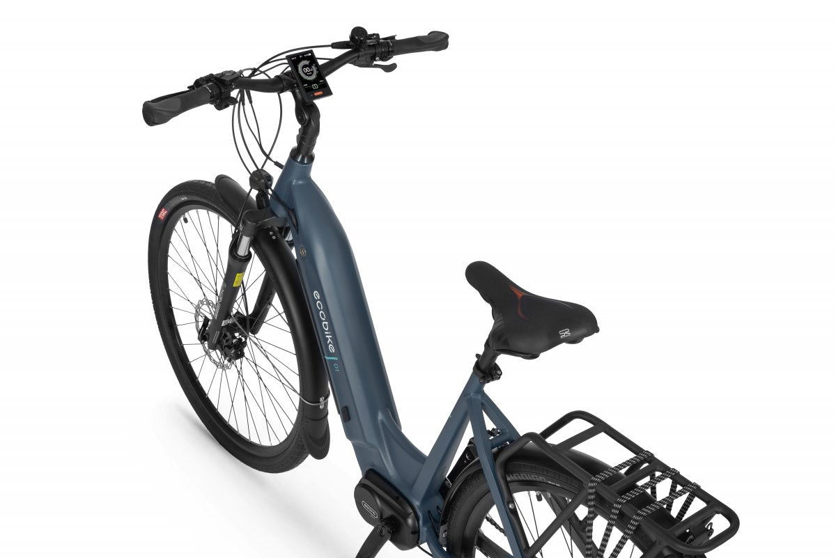 Ecobike D1 Trekking